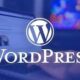 Wordpress Website Development